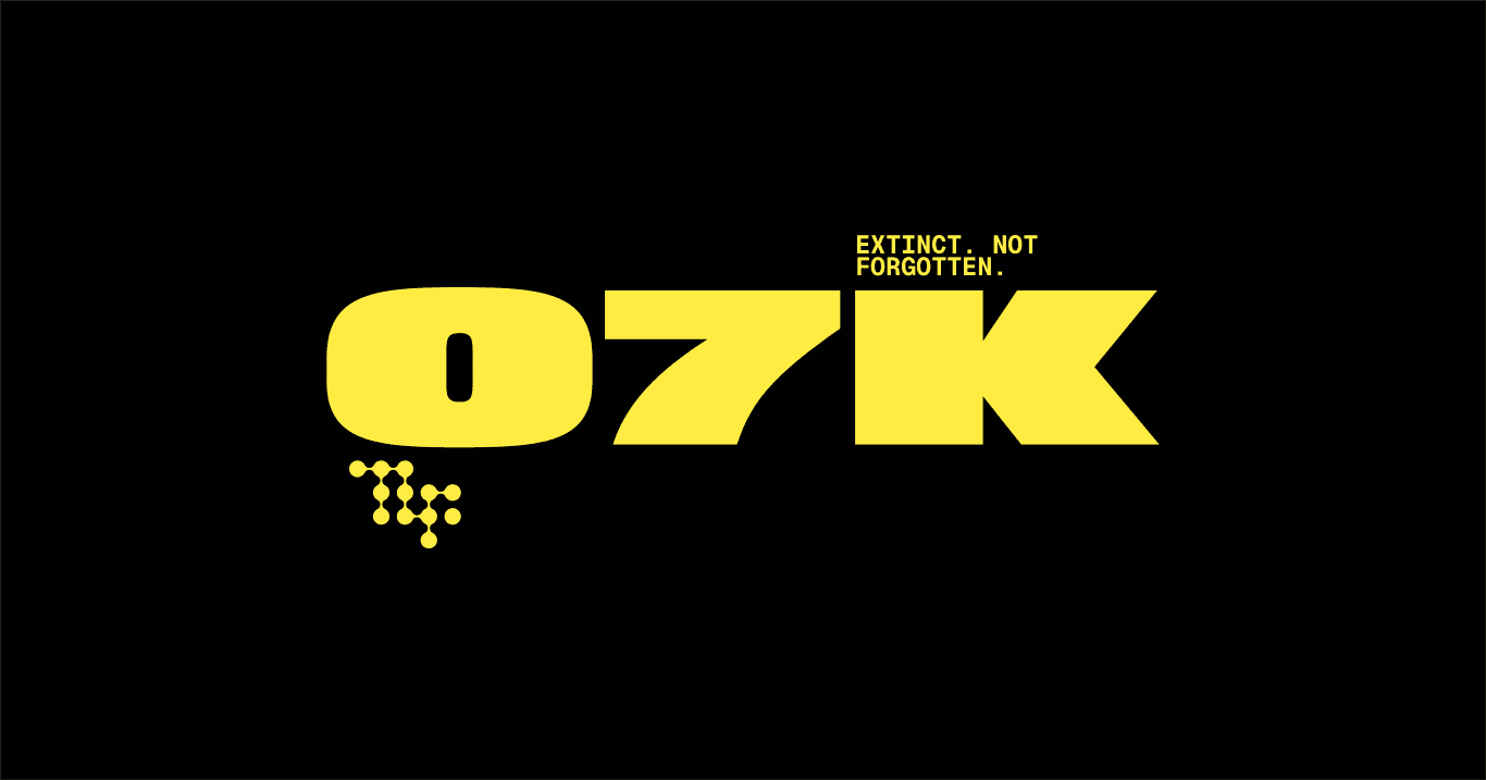 07K Coffee website preview